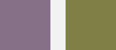 Colours: Cosy Violet and Pure Olive