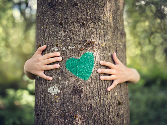 Hands are wrapped around a tree with a green heart painted on its bark Hands are wrapped around a tree with a green heart painted on its bark
