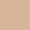 Colour Sesame Colour box light skin colour